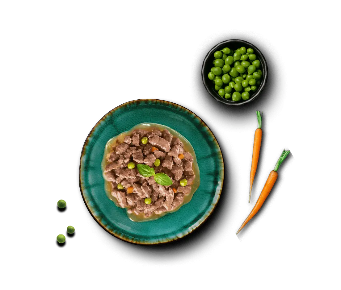 Фото преимущества